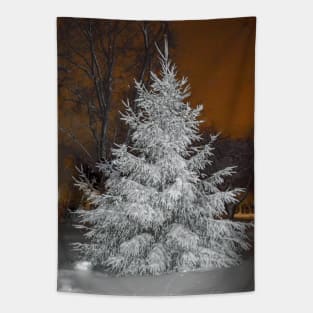 Snow storm Tapestry