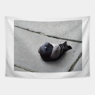 Majestic pigeon resting Tapestry