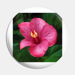 Hibiscus Pin