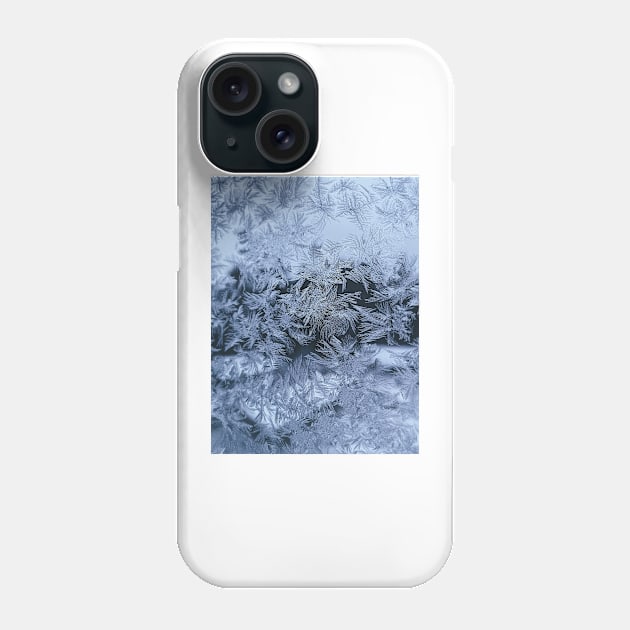 The Winter Wonderland Phone Case by aestheticand