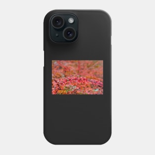 Autumn background of barberry bush leaves Phone Case
