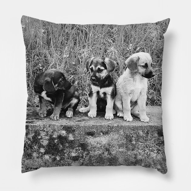 Puppies Pillow by Kate-P-