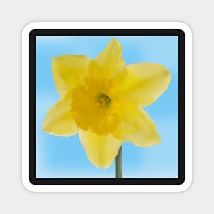 Yellow jonquil mesh flower Magnet