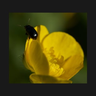 BUTTERCUP BEETLE T-Shirt