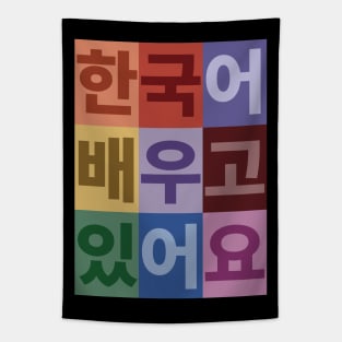 I am learning Korean Tapestry