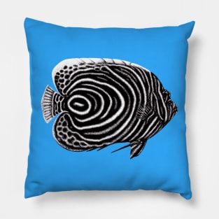 Emperor angelfish drawing Pillow