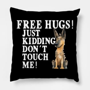 Free Hugs Just Kidding Don't Touch Me Pillow