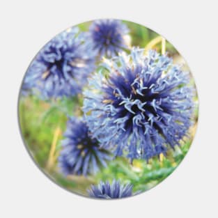 Globe Thistle Flowers Design Pin