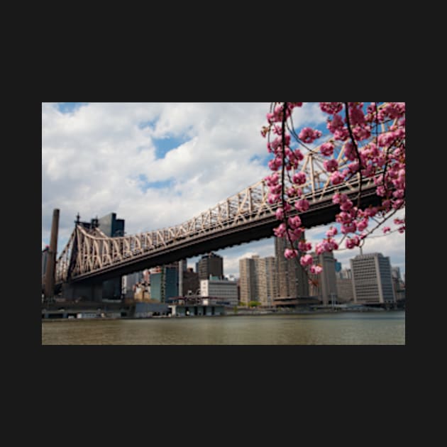 Cherry Blossoms Under the Queensborough Bridge 2 by wlotus