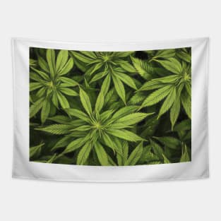 Hemp Plant Artwork Tapestry