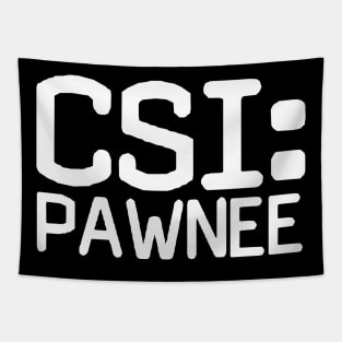 CSI: Pawnee Tapestry