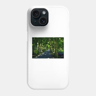 A Dappled Path Phone Case