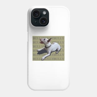 BULLYBULLYBULLY on opaque background Phone Case