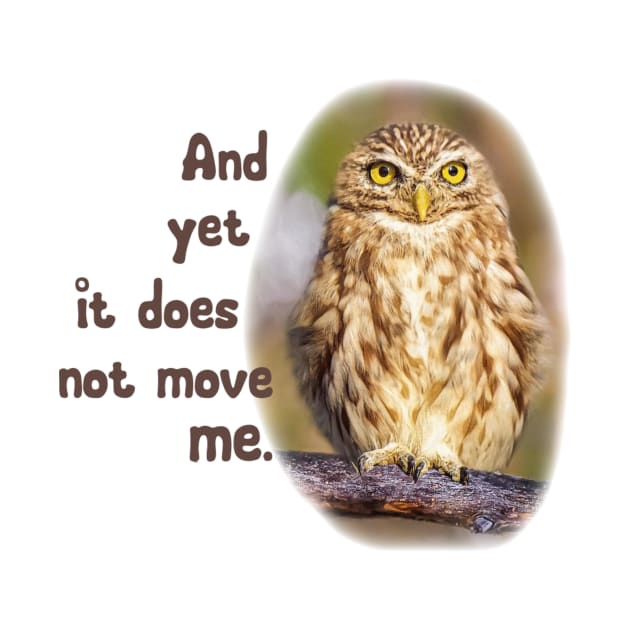 Funny Owl Quote by julyperson