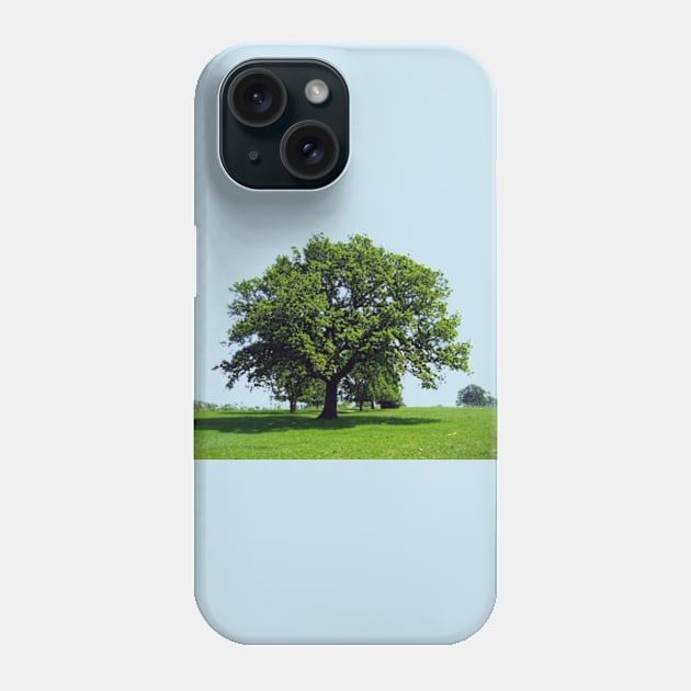 Majestic Oak tree Phone Case by soitwouldseem