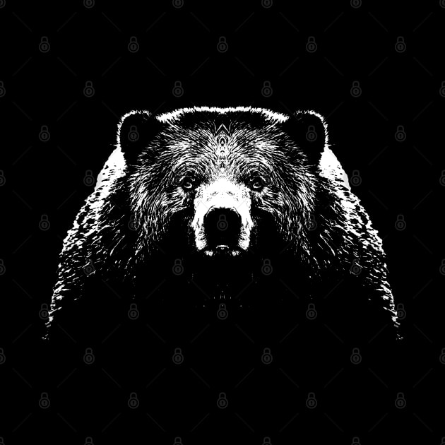 face to face with the bear by R LANG GRAPHICS