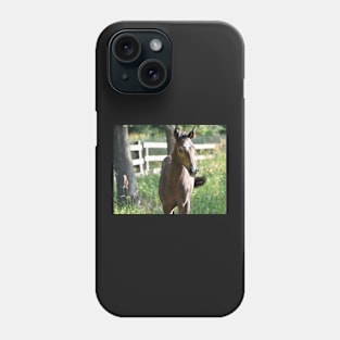 TB COLT Phone Case