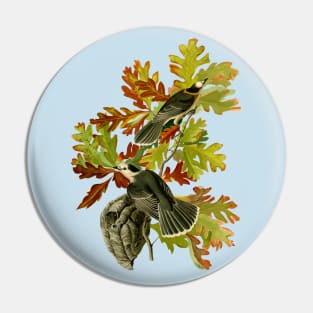 Audubons Canada Jays in White Oak Pin