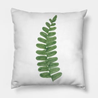 Neuropteris Ovata, fossil fern Pillow