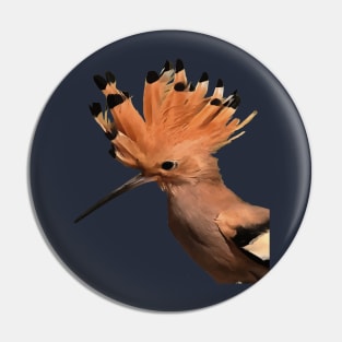 Moxie Hoopoe Bird With Crown Of Feathers Pin