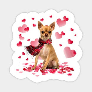 Tan Chihuahua Hearts Love Happy Valentine's Day Magnet