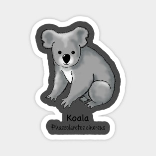 Endangered animals of Australia – Koala (Phascolarctos cinereus) Magnet