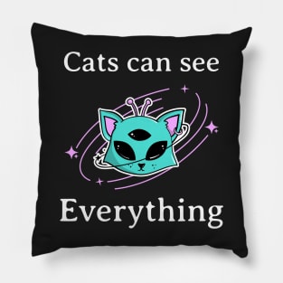 Cats can see everything Pillow