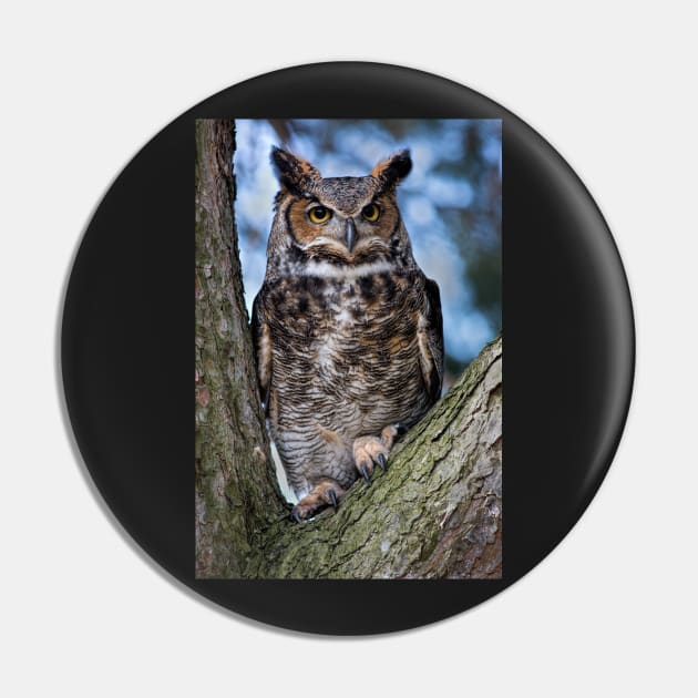 Great Horned Owl Pin by dalekincaid