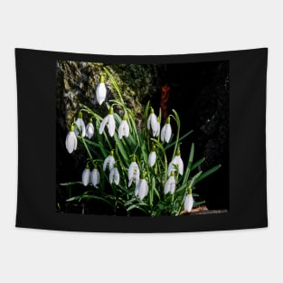 Snowdrop display Tapestry