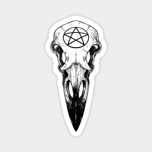 Raven skull. Pentagram Magnet