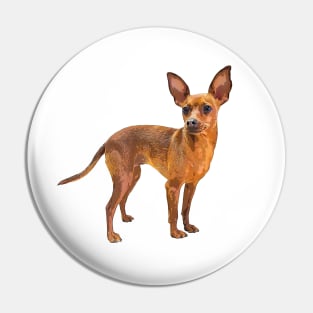 Miniature Pinscher Red Cute Puppy Dog Pin