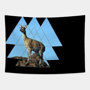 Klipspringer - Antelope in Kenya / Africa Tapestry