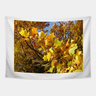 Autumn Leaves Tapestry