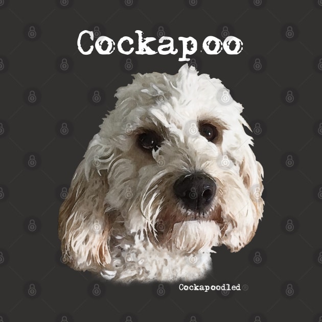 Champagne Blonde Cockapoo / Spoodle and Doodle Dogs by WoofnDoodle 