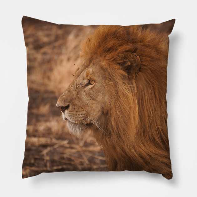 Lion king of the forest Pillow by alexposters