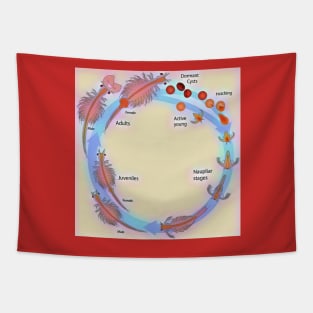 Life Cycle of Brine Shrimp Tapestry