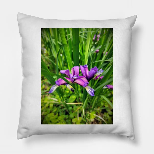 Beautiful lily Pillow by Gourmetkater