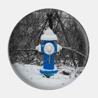 Blueing Snow Pin