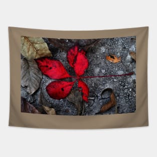 Red Leaf Down Tapestry