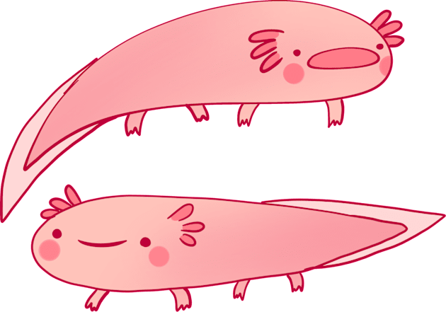 Cute axolotls illustration Kids T-Shirt by Mayarart