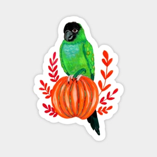 Cute Halloween Nanday Conure Parrot on Autumn Pumpkin Magnet