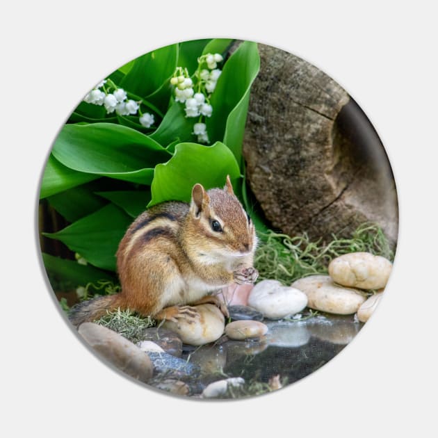 Chipmunk reflection in a tiny pond Pin by iyd39