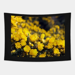 Gorse Bush (Ulex europaeus) Tapestry