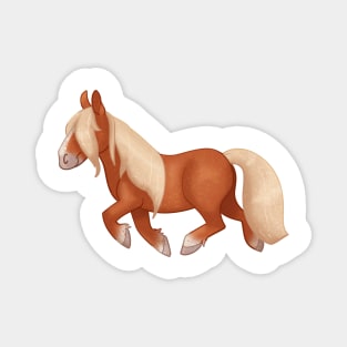 Cozy Shetland Pony Magnet