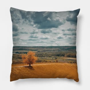 Picturesque autumnal landscape Pillow