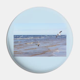 Two seagulls flying above the water Pin