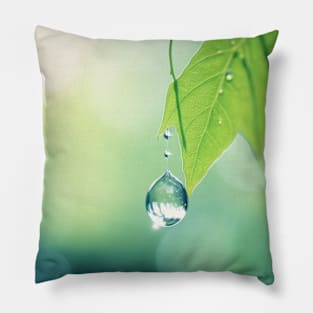 Leaf Water Drop Nature Serene Tranquil Pillow