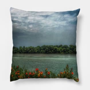 Picturesque scenic tranquil landscape of Danube river Pillow