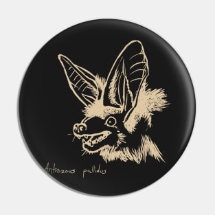 Pallid bat Pin