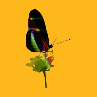 butterfly, flower, insect, rainbow T-Shirt